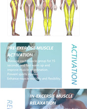 Load image into Gallery viewer, Booster E Massage Gun